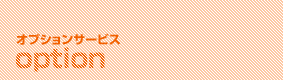 �I�v�V�����T�[�r�X